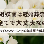 胡蝶蘭は冠婚葬祭すべてで贈っていい?シーン別のマナーと注意点を解説