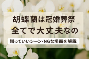 胡蝶蘭は冠婚葬祭すべてで贈っていい?シーン別のマナーと注意点を解説
