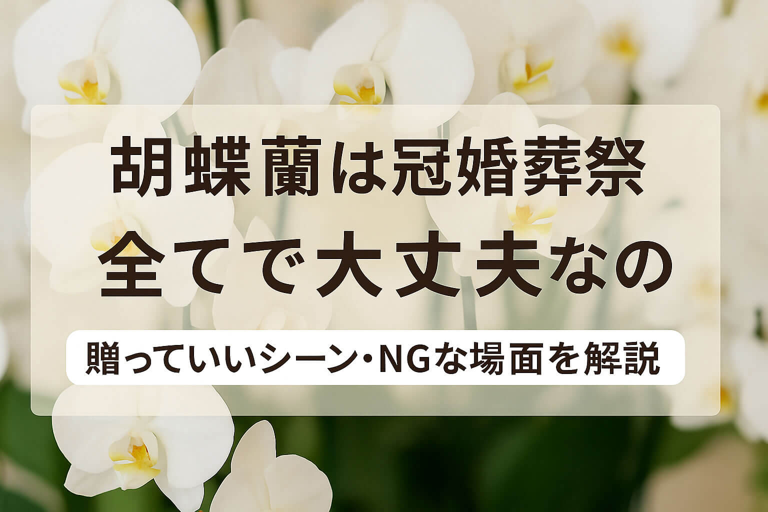 胡蝶蘭は冠婚葬祭すべてで贈っていい？シーン別のマナーと注意点を解説