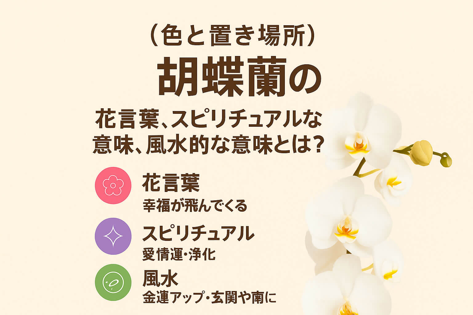 胡蝶蘭の花言葉とスピリチュアル・風水的な意味|色と置き場所で運気UP
