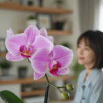 胡蝶蘭のメネデールに漬ける時間は?復活法から育て方まで解説