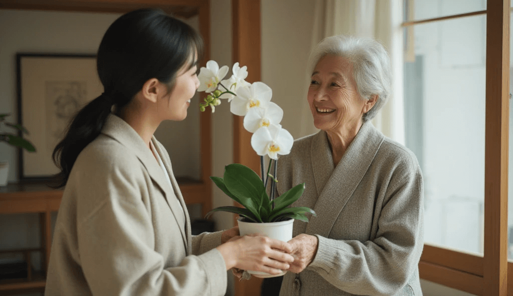 敬老の日に嫁が贈る胡蝶蘭|義両親が喜ぶプレゼントの秘訣